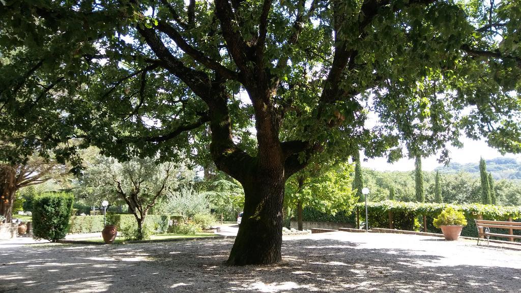 La Locanda Della Chiocciola Orte Eksteriør bilde